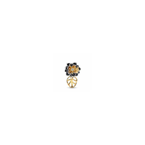 764326c01  Disney Tiana Sterling silver and 14k plated (High Resolution)