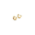 Pandora Shine Shining Rat Charm w CZ 768587C01 (High Resolution)