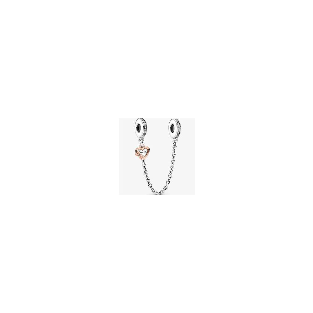 Family's Heart & Infinity Silver Safety 789541C01-05 (High Resolution)