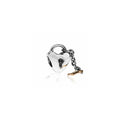 Key to My Heart Silver Charm w 14k 790288 (High Resolution)