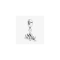 Sydney Opera House Silver Hanging Charm 791175 (High Resolution)