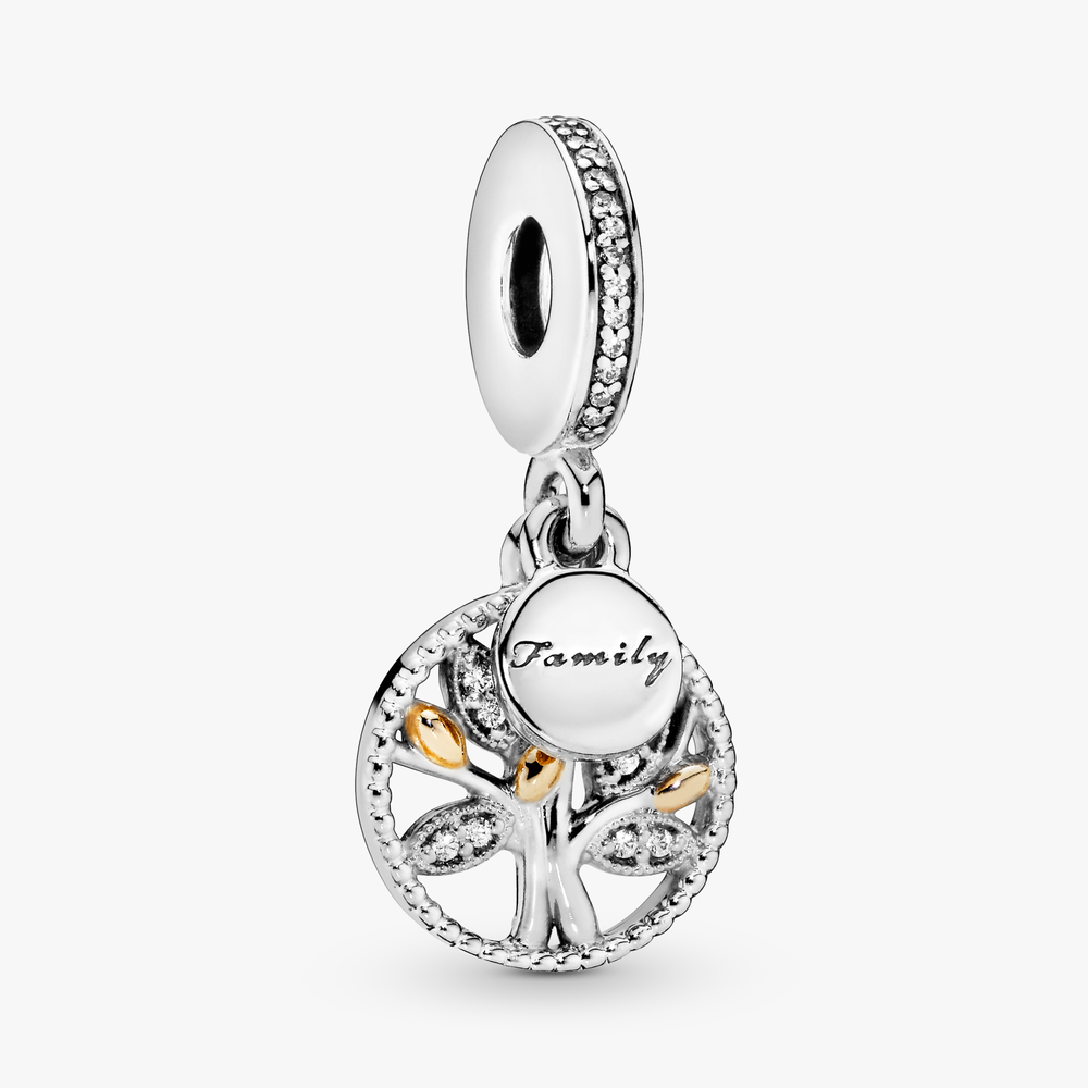Family Heritage Silver Hanging Charm w 14k Gold &  791728CZ (High Resolution)