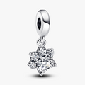 Paw sterling silver dangle with clear cubic zircon 792247C01 (High Resolution)