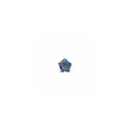 Star sterling silver charm with stellar blue crystal 793026C01 (High Resolution)