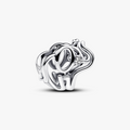 Elephant sterling silver charm with clear cubic zirconia 793345C01 (High Resolution)