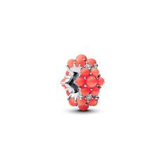 Sterling silver charm with clear cubic z 793897C01