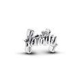 Family sterling silver charm with clear cubic zirconia 794250C01