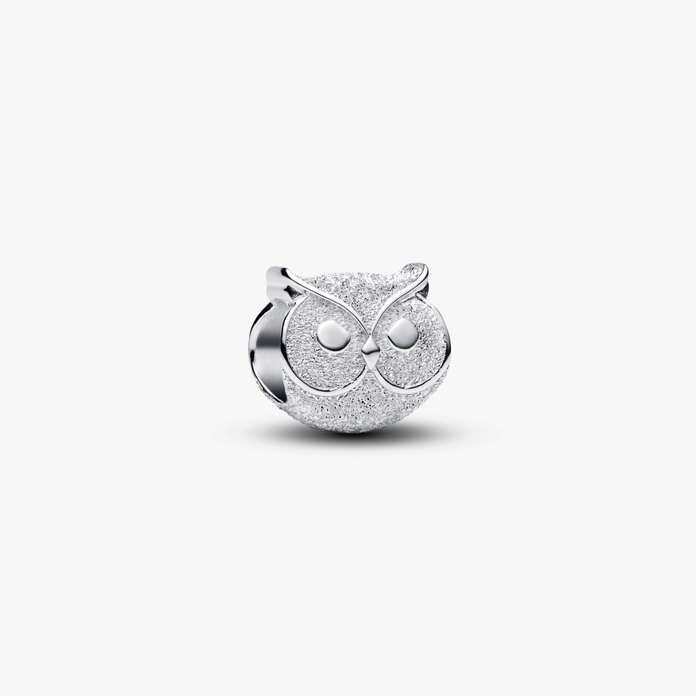 Textured owl sterling silver mini charm (High Resolution)