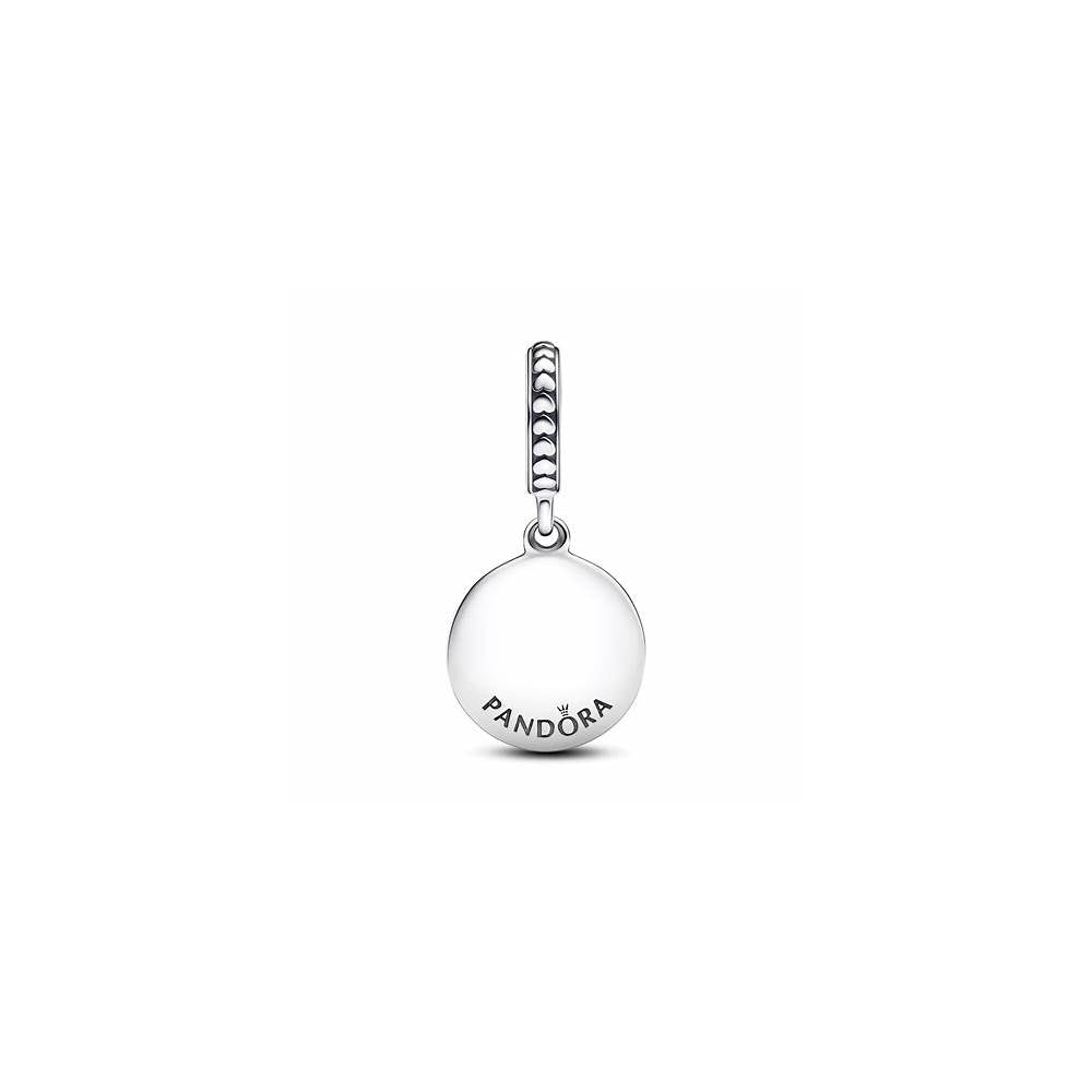 Friends Are Family Silver Hanging Charm 798124EN16 (High Resolution)