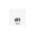 Sparkling Owl Silver Charm w Blue Crystals & Clear 798397NBCB (High Resolution)