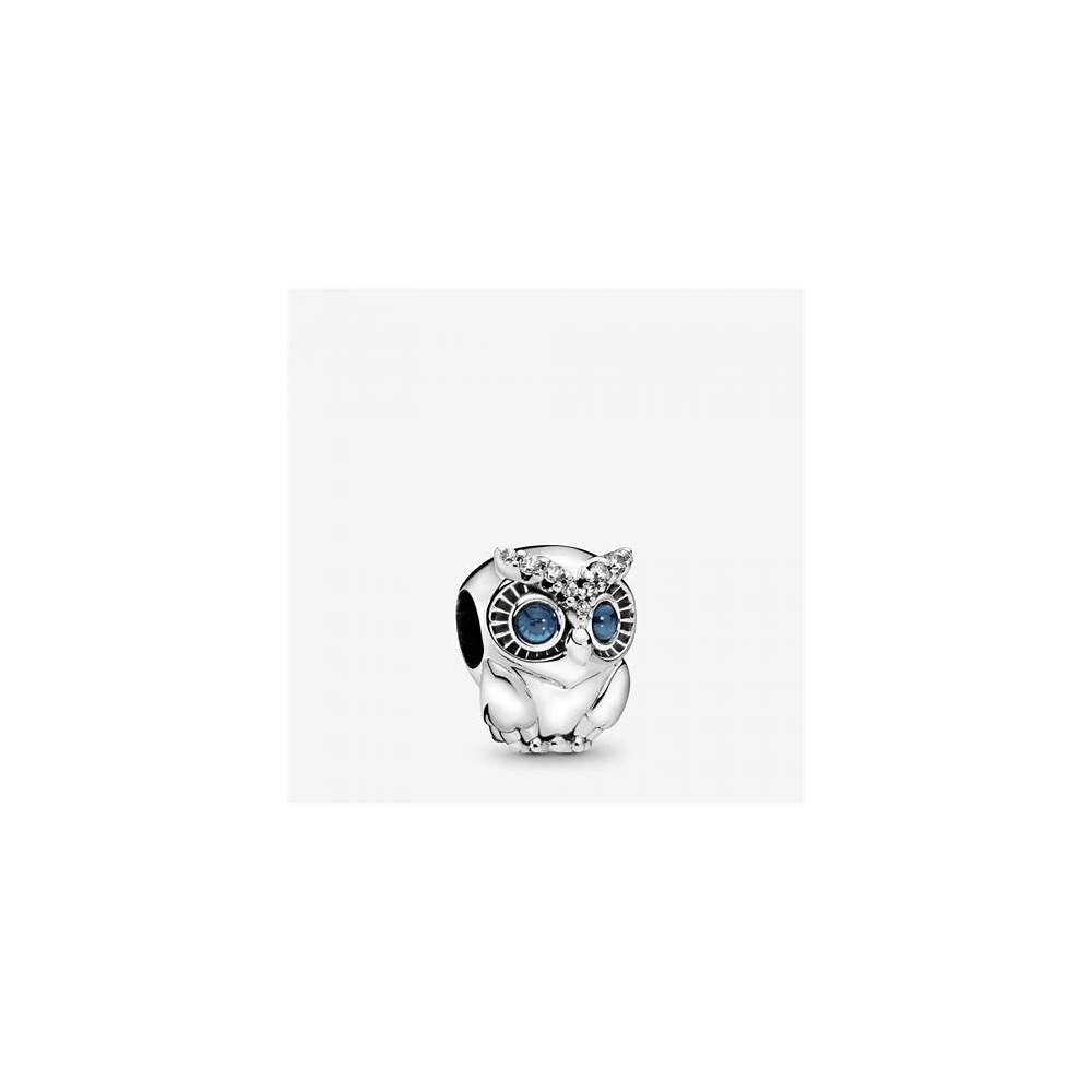 Sparkling Owl Silver Charm w Blue Crystals & Clear 798397NBCB (High Resolution)