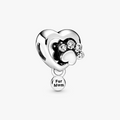 Sparkling Paw Print & Heart Silver Charm w CZ 798873C01 (High Resolution)