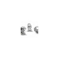 Kiwi & Fern Leaf Silver Charm w Light Gr 799278C01 (High Resolution)