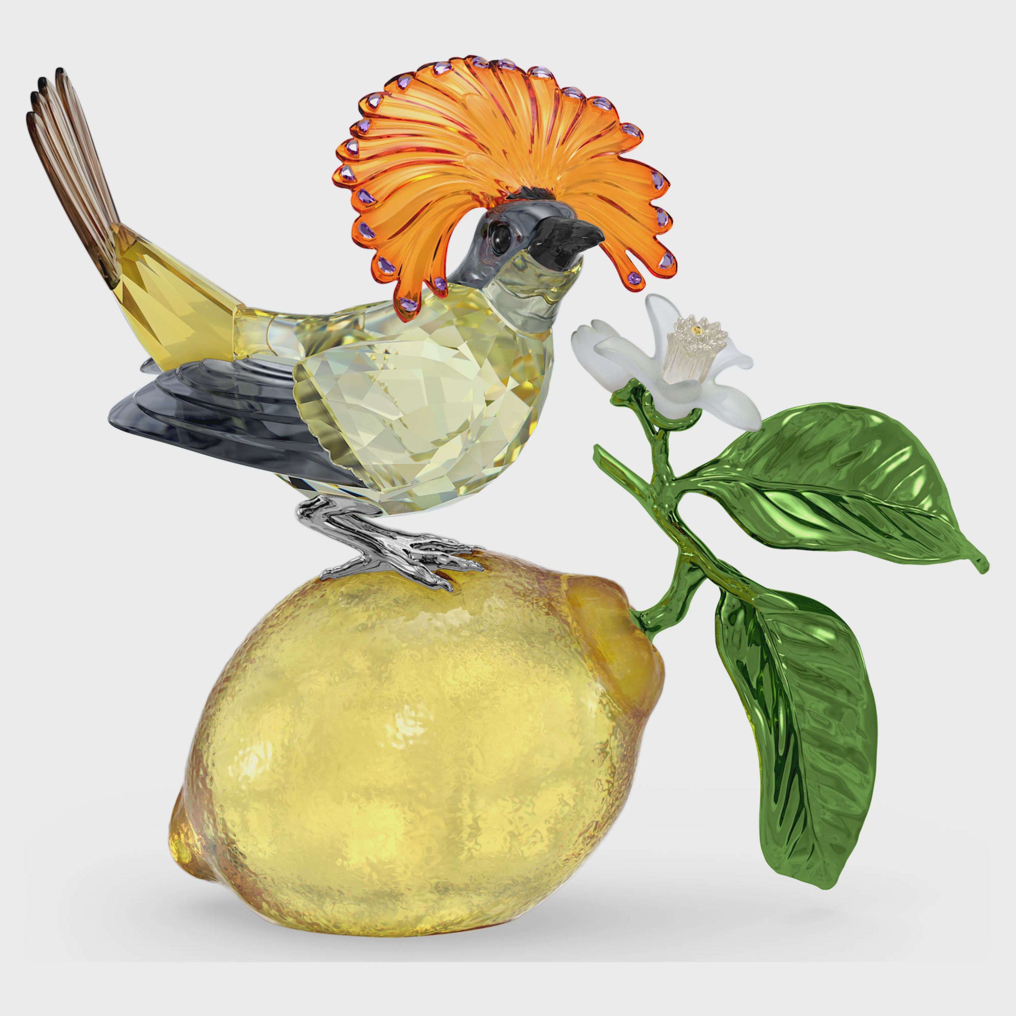Idyllia Royal Flycatcher 5651811