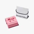 PANDORA Lux Box small silver logo box A050_ID (High Resolution)