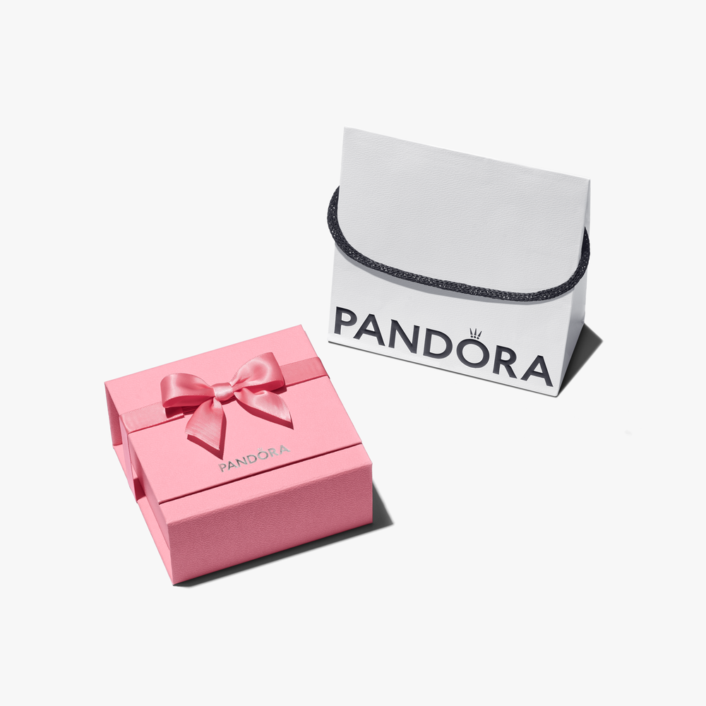 PANDORA Lux Box small silver logo box A050_ID (High Resolution)