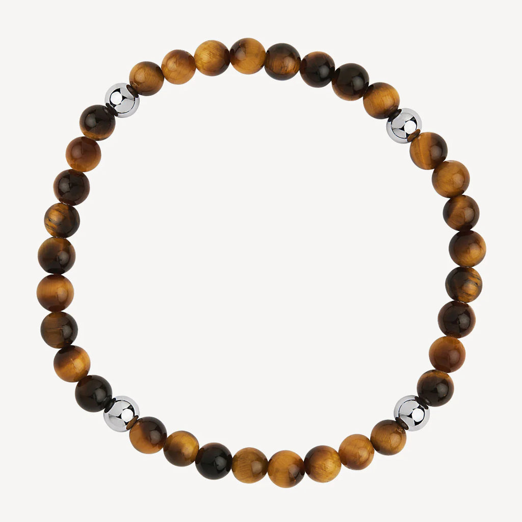 Apollo Men's 6mm Tiger Eye & Steel Elasticated Stretch B9067