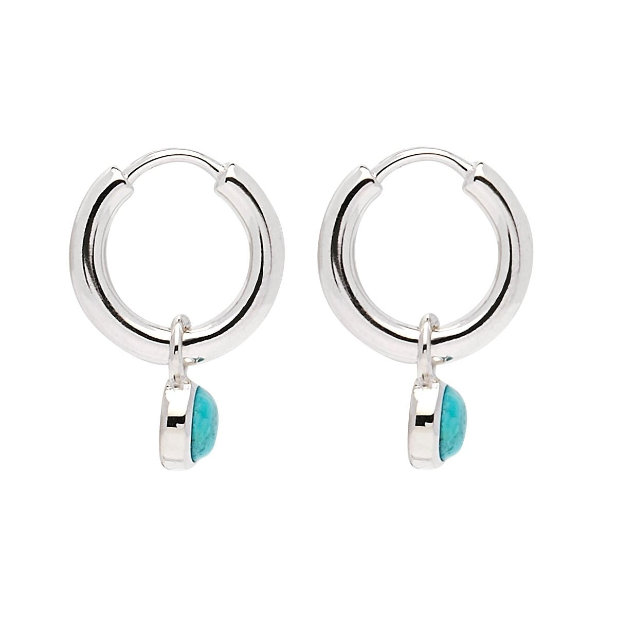 Heavenly Turquoise Earring - Silver
