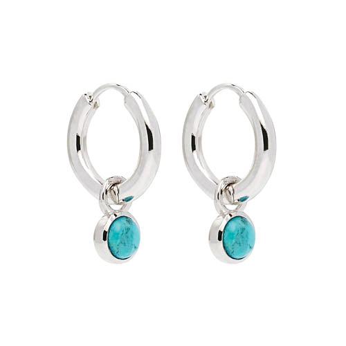 Heavenly Turquoise Earring - Silver