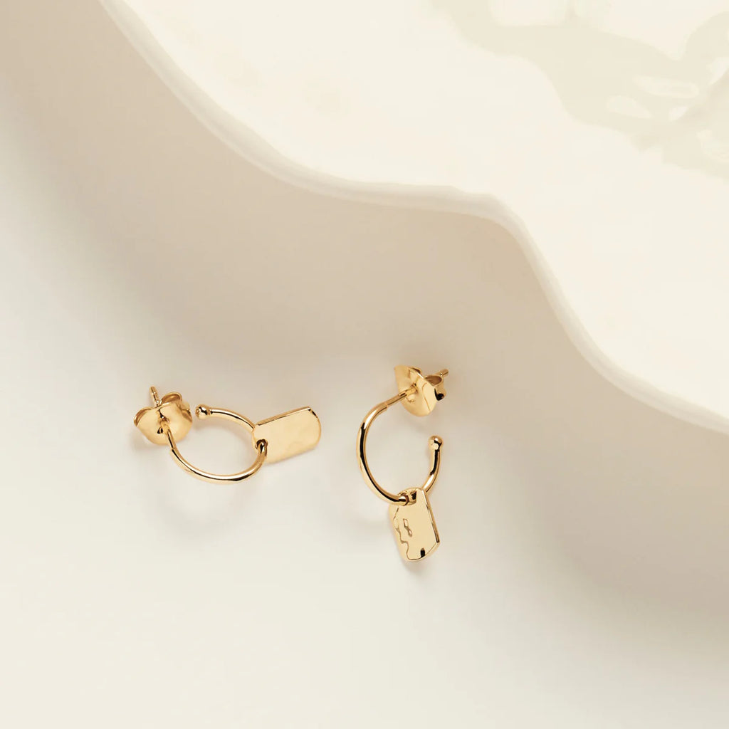 NAJO Tigger Earring Colour: Yellow Gold E6545