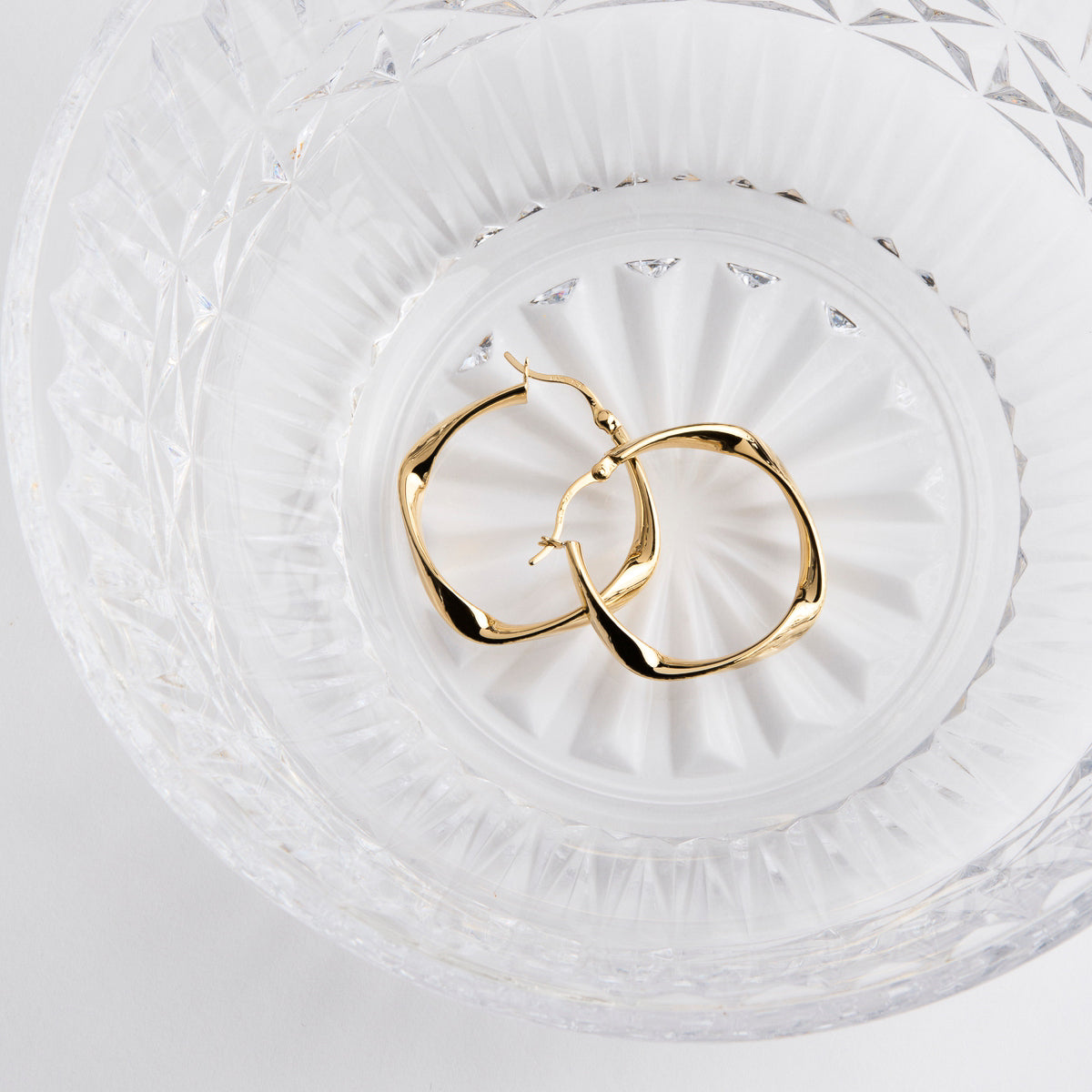 NAJO Garden of Eden Hoop Earring E6619