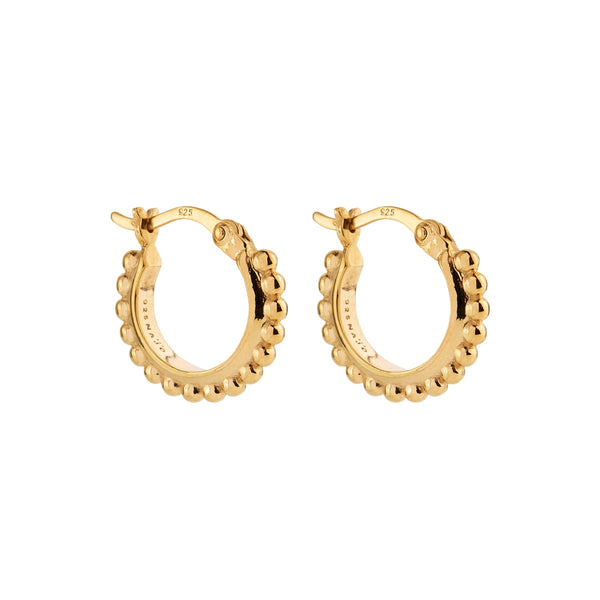 Chia Yellow Gold Hoop Earring