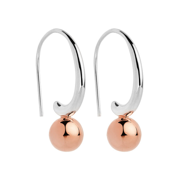 Fern Silver & Rose Gold Earring