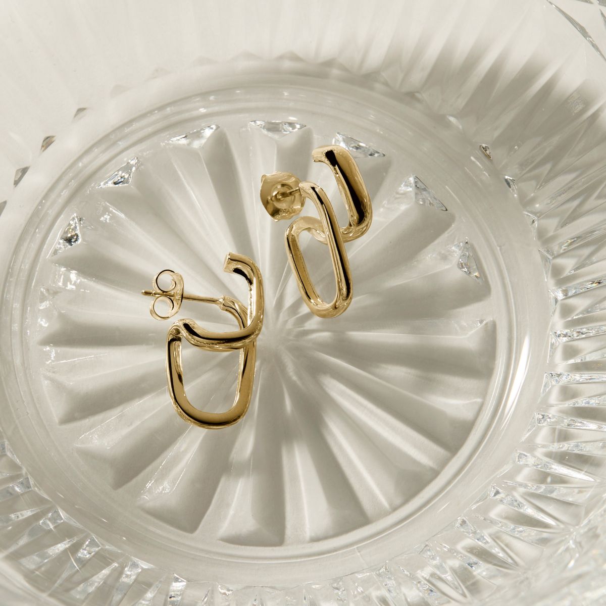 NAJO The Illusionist Earrings E7085