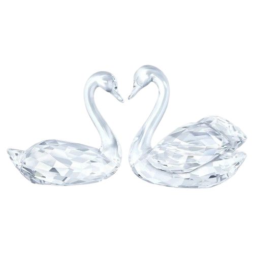 Swan Couple 5135936