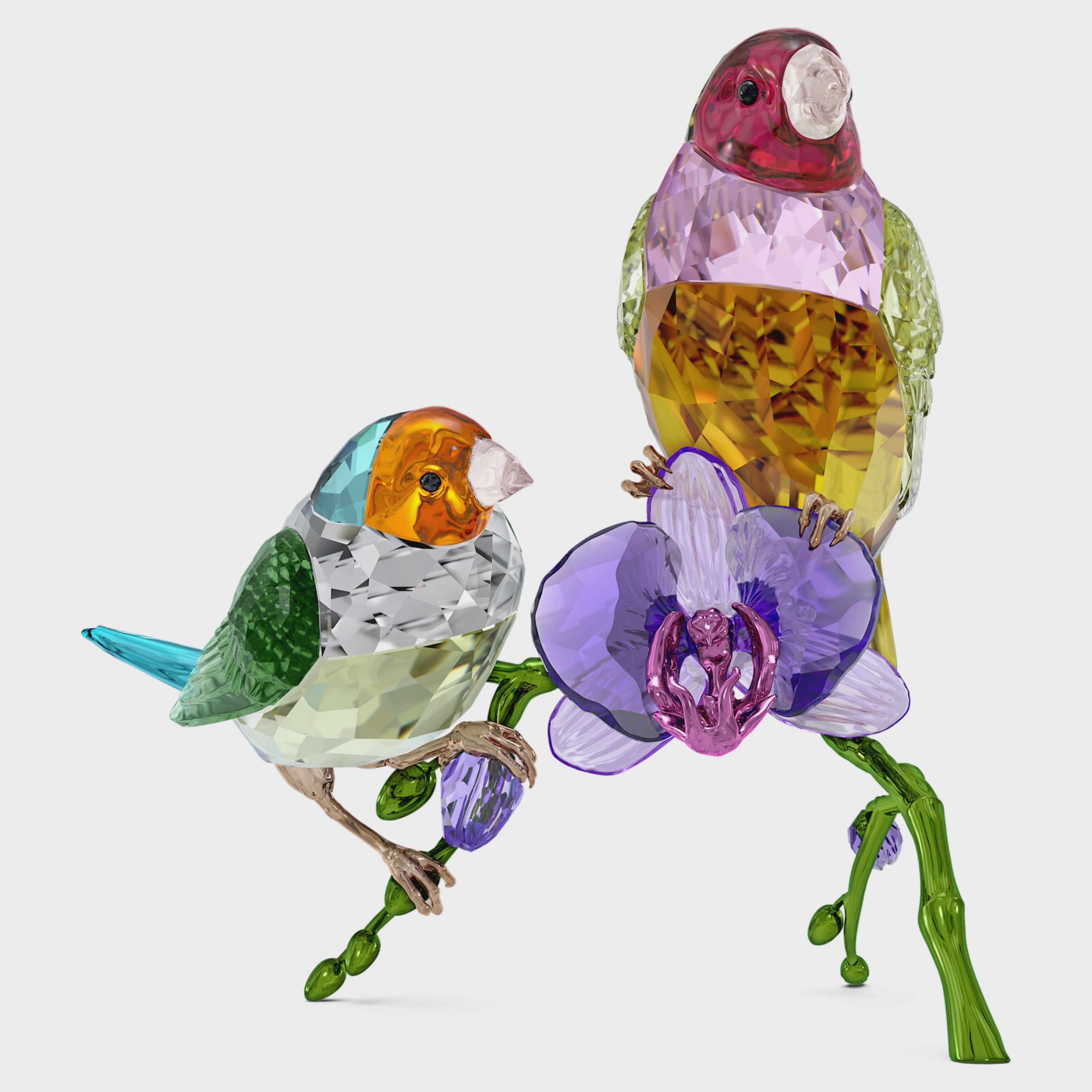 Idyllia SCS Annual Edition 2024 Gouldian Finches 5670031