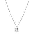 NAJO Tigger Silver Necklace