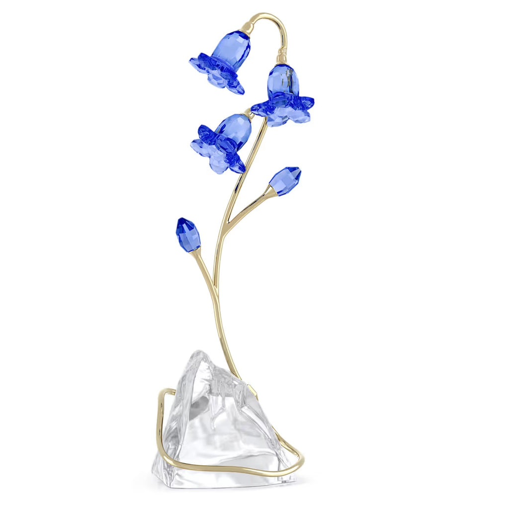 Florere Blue Bellflower 5719807