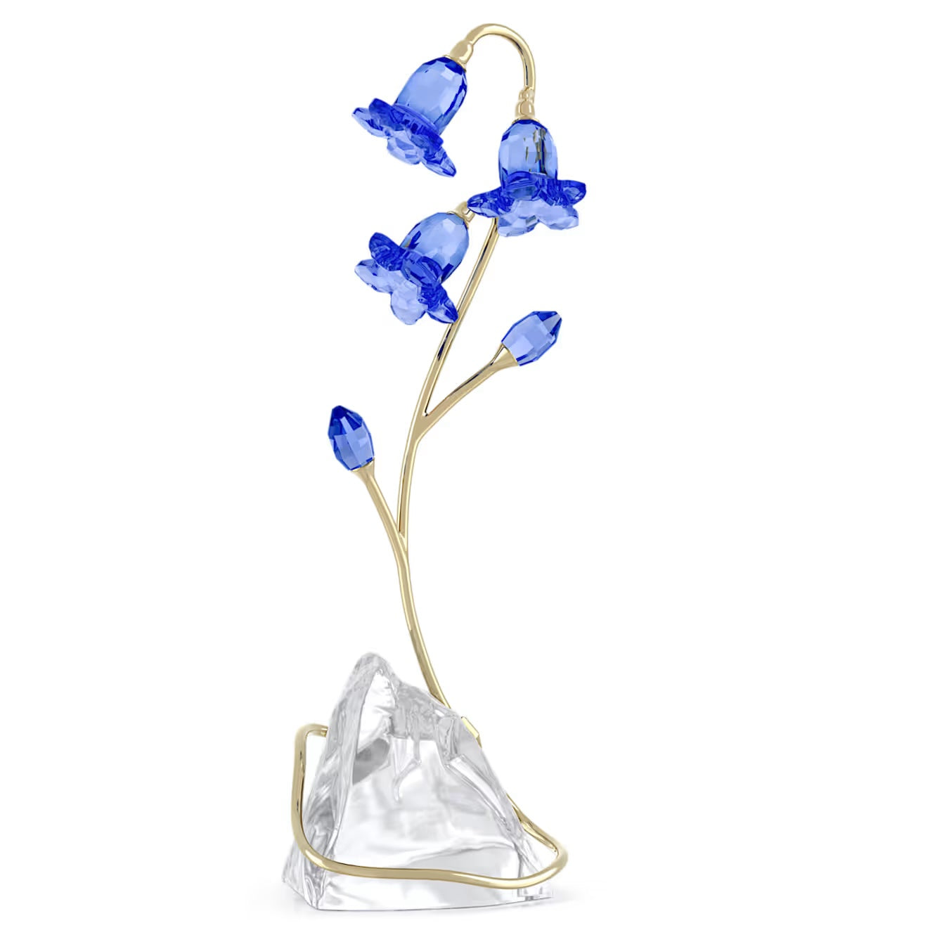 Florere Blue Bellflower 5719807