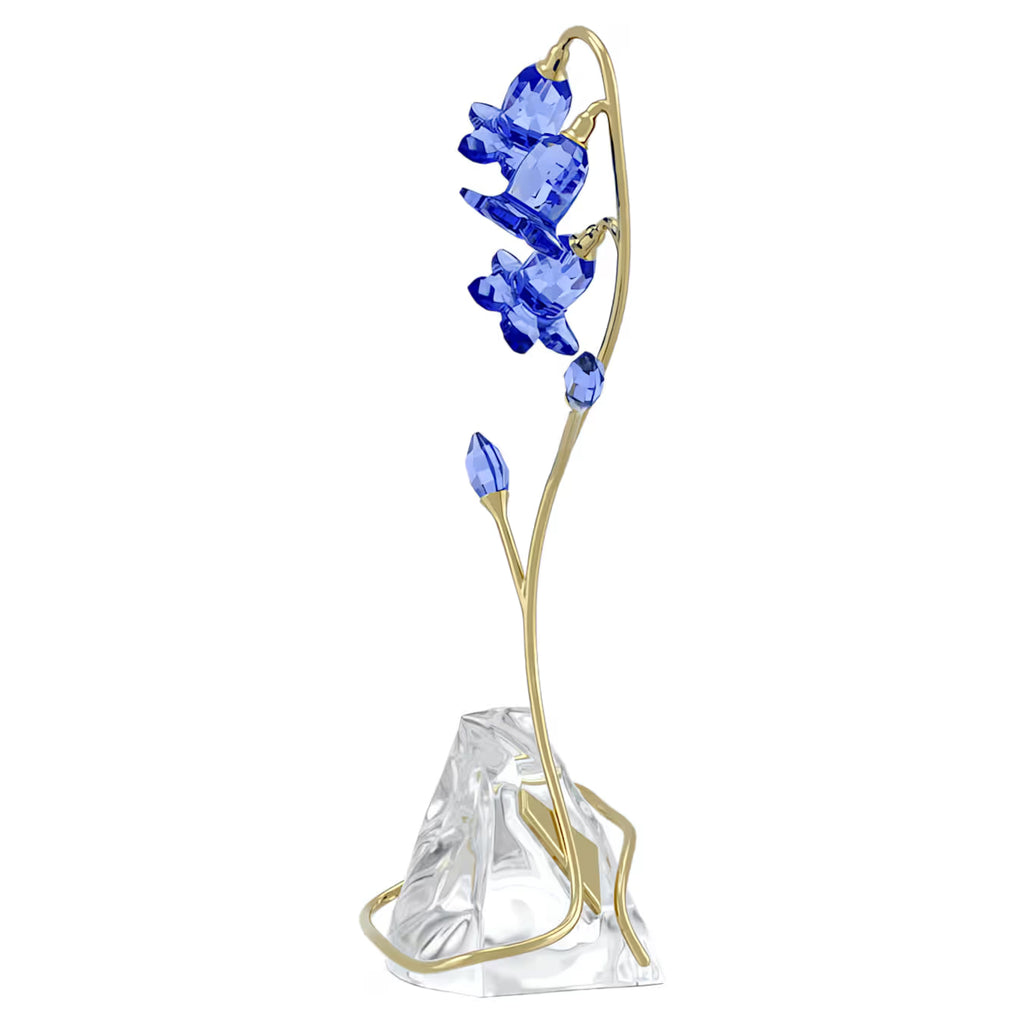 Florere Blue Bellflower 5719807