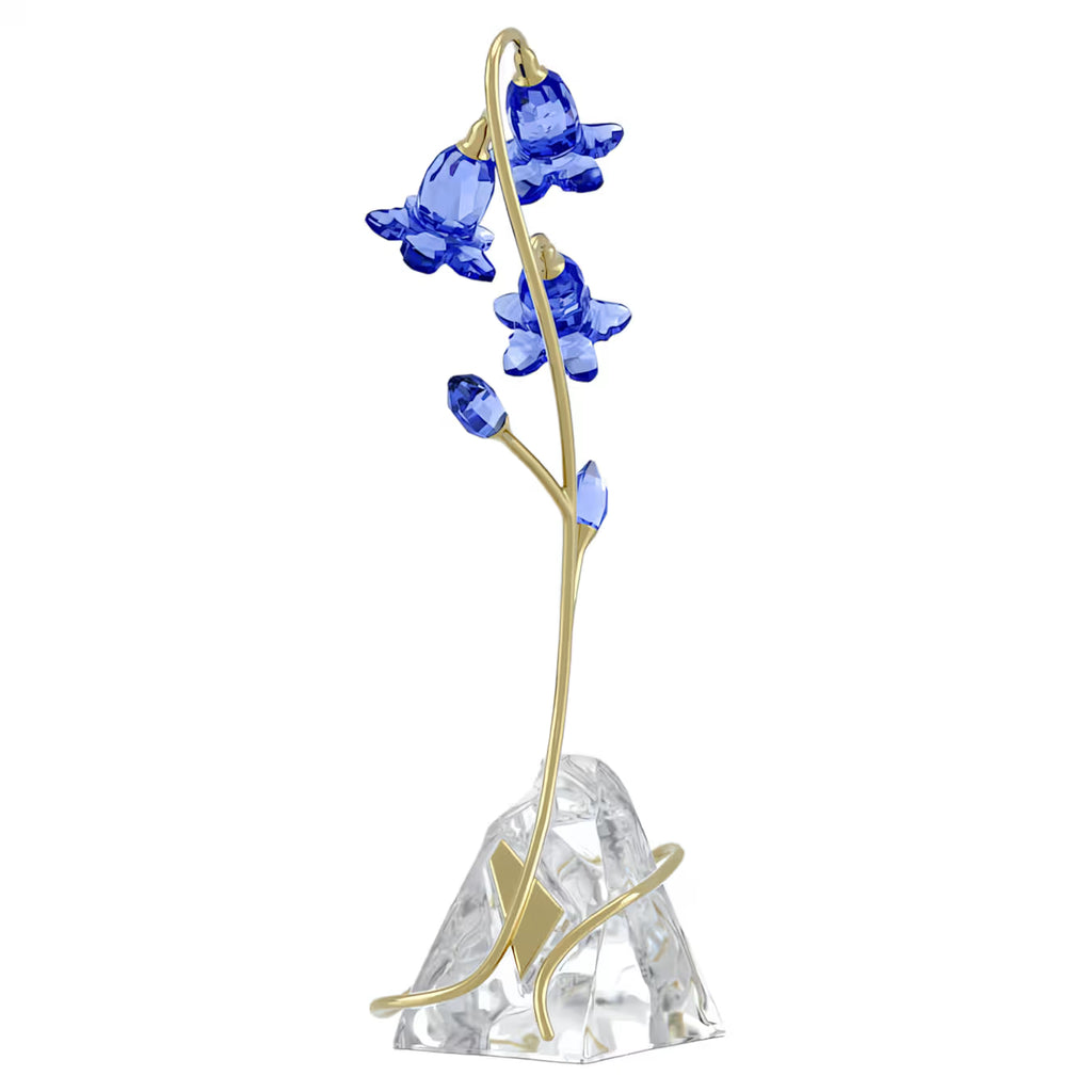 Florere Blue Bellflower 5719807