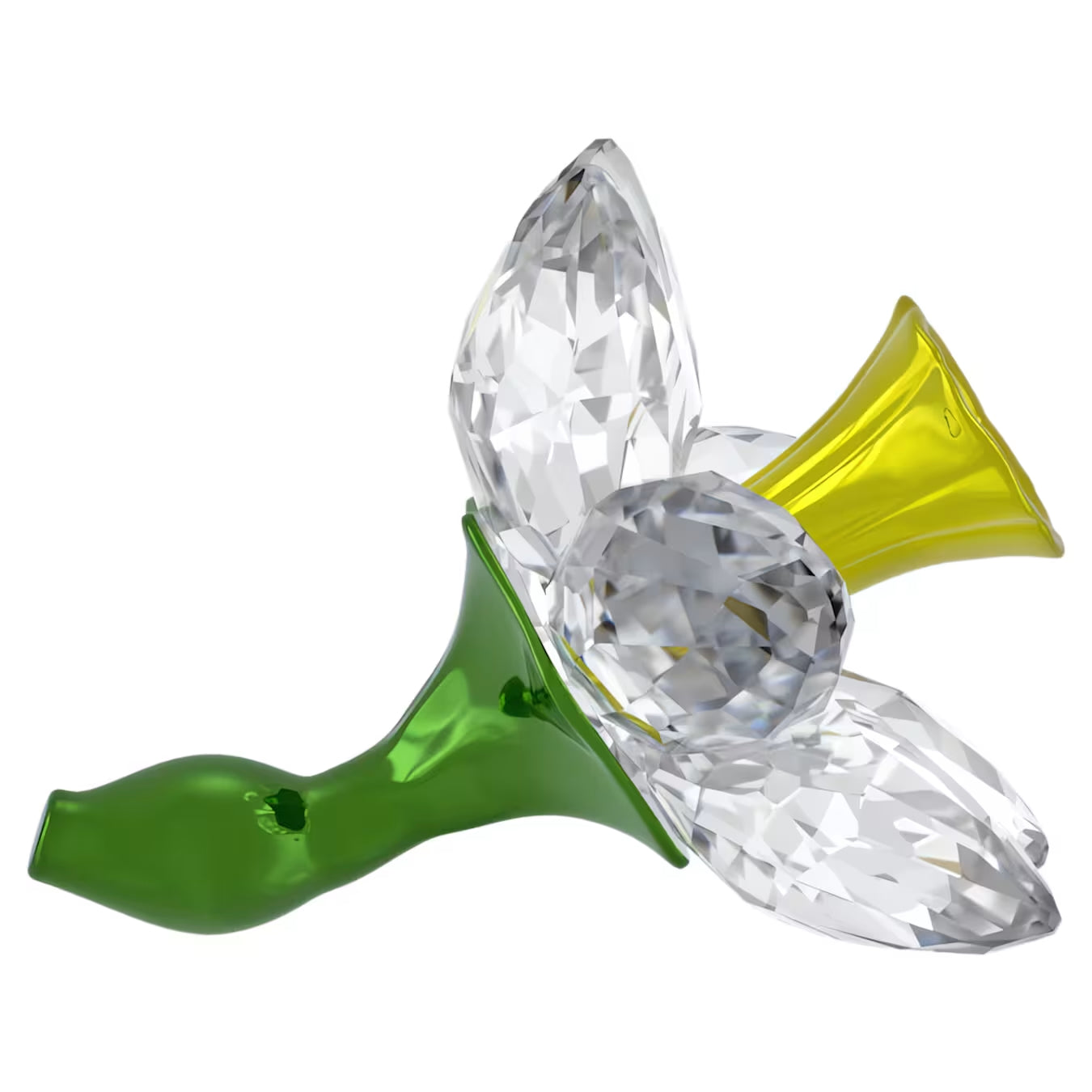 Florere Daffodil 5721540