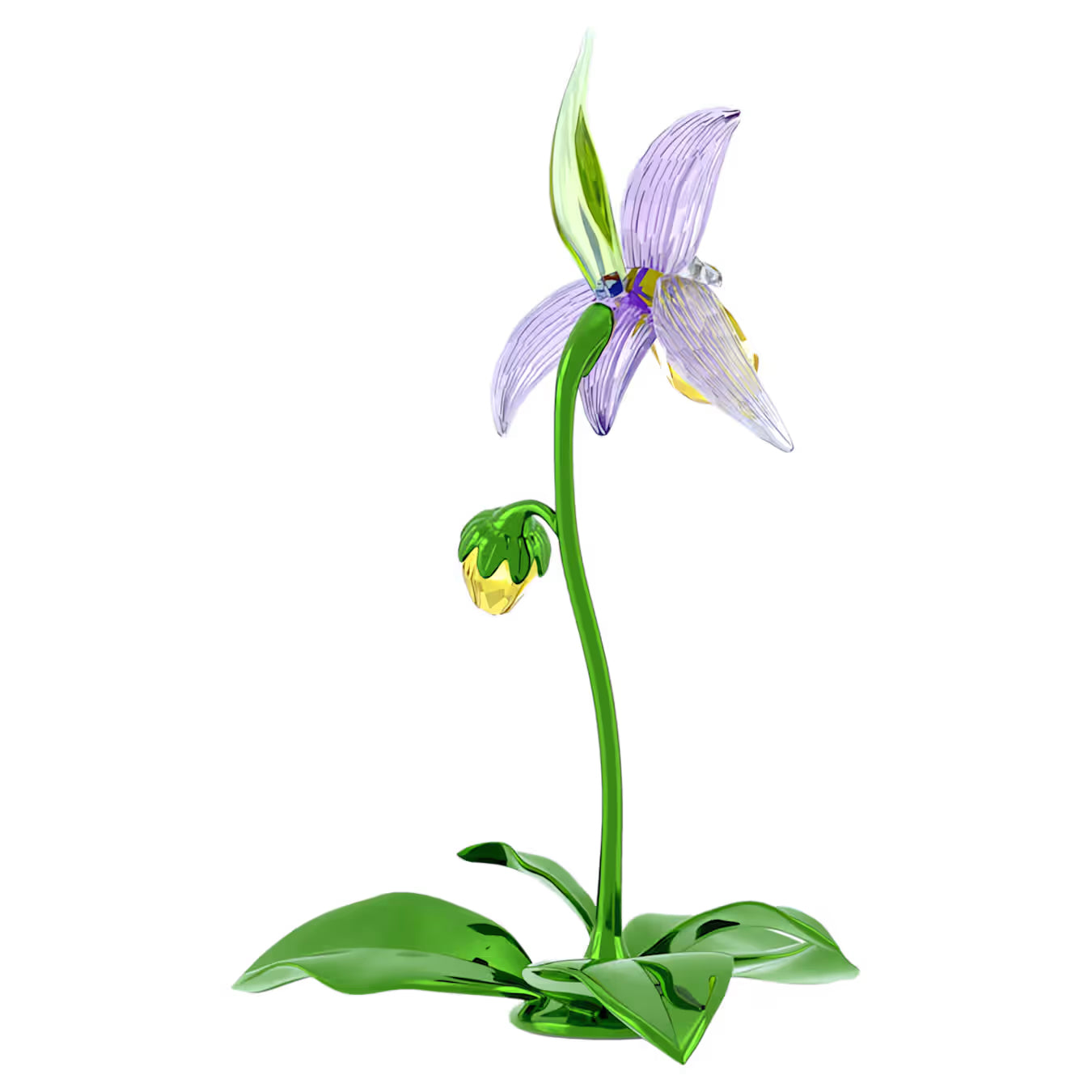 Florere Lady Slipper Orchid 5721548