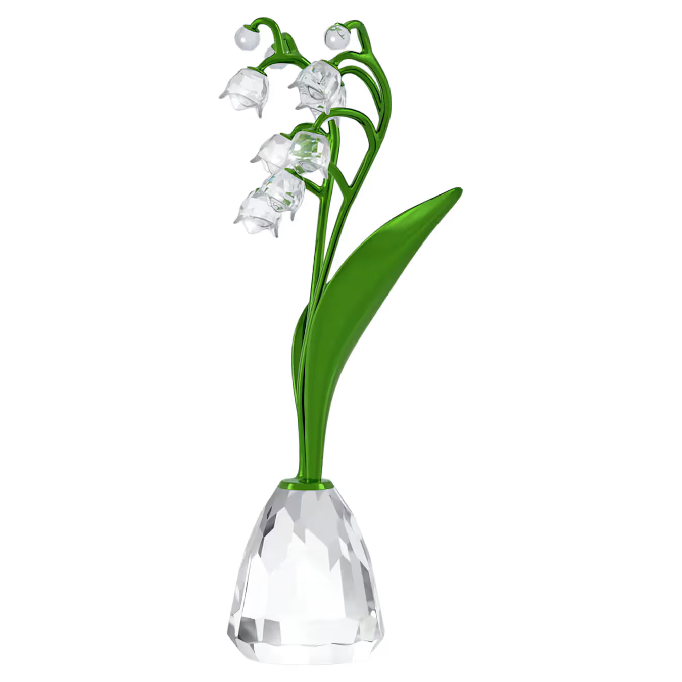 Florere Lily of the Valley 5721541