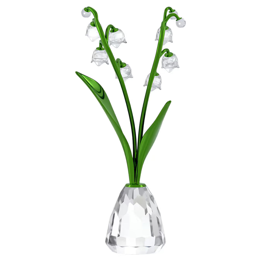 Florere Lily of the Valley 5721541