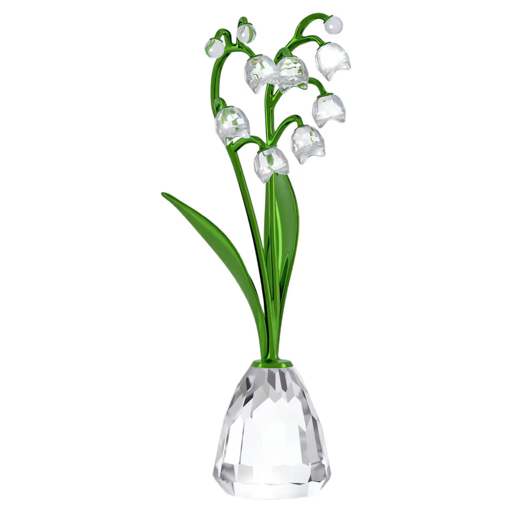 Florere Lily of the Valley 5721541
