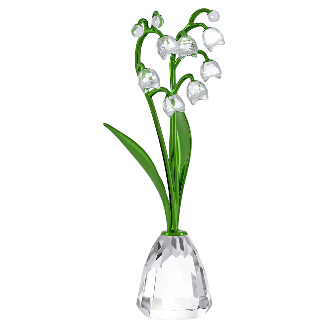 Florere Lily of the Valley 5721541