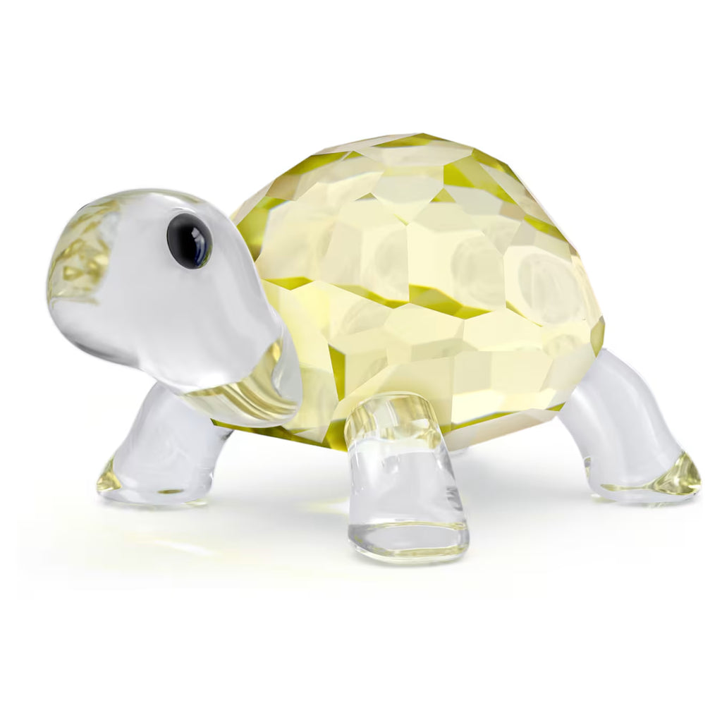 Idyllia Baby Tortoise 5721550
