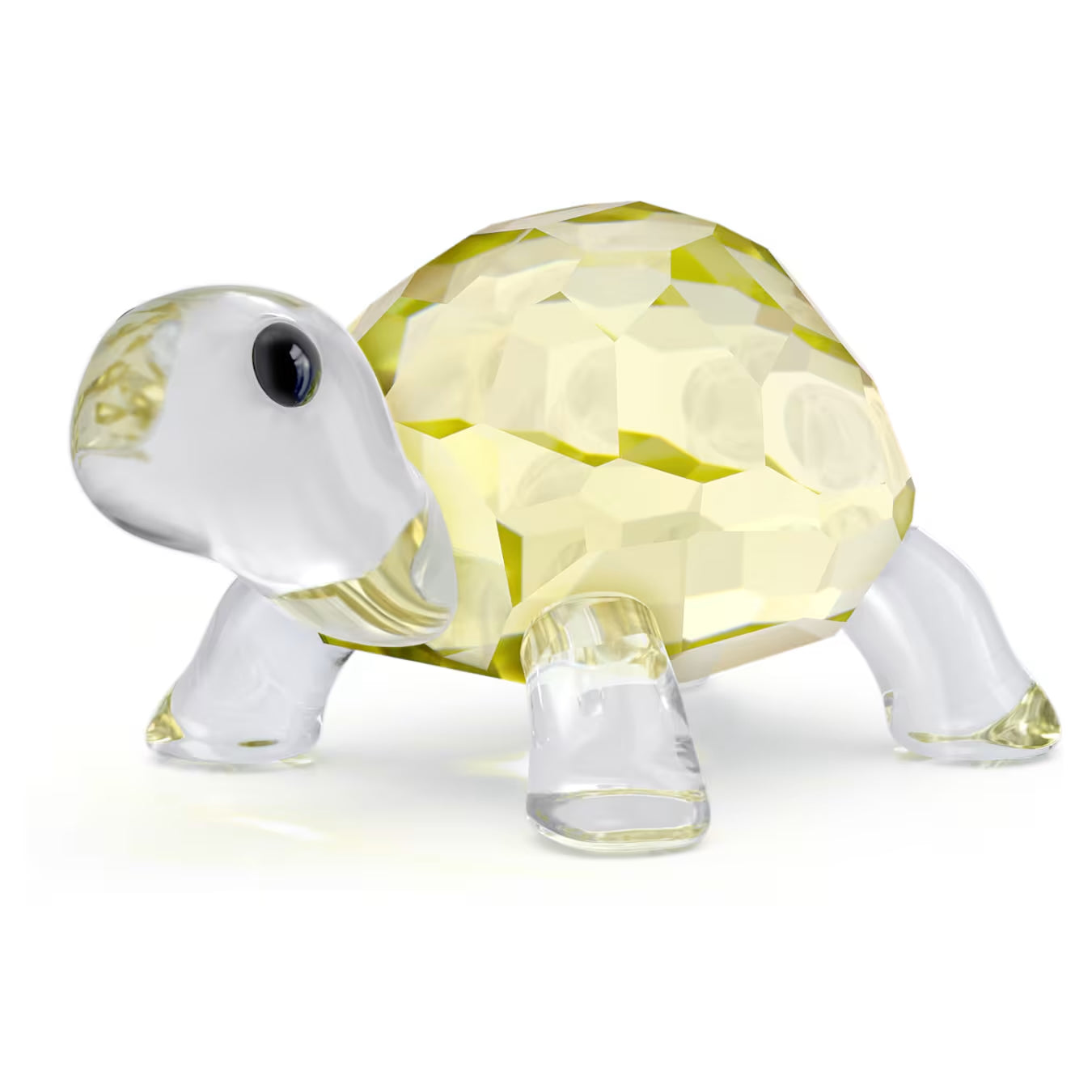Idyllia Baby Tortoise 5721550