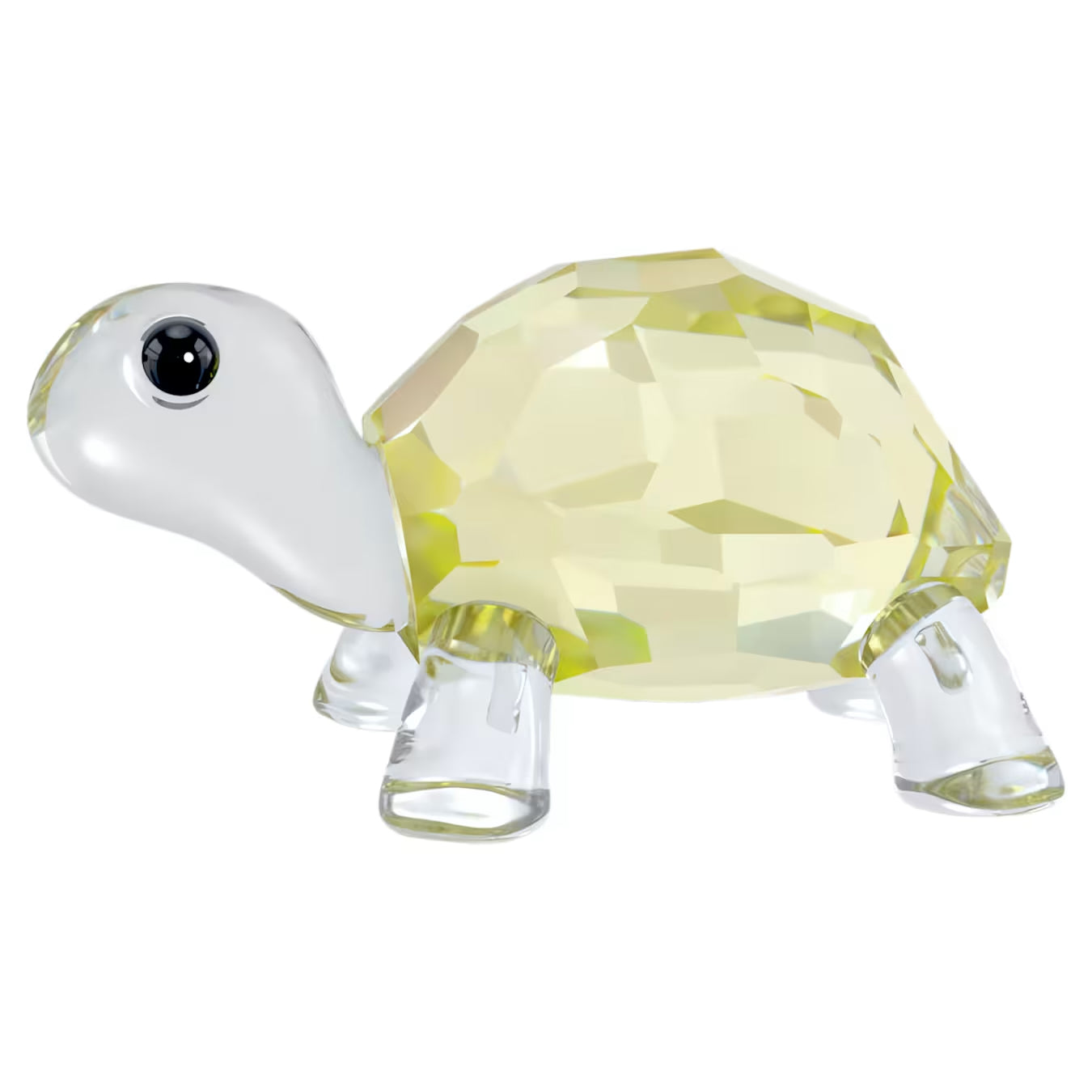Idyllia Baby Tortoise 5721550