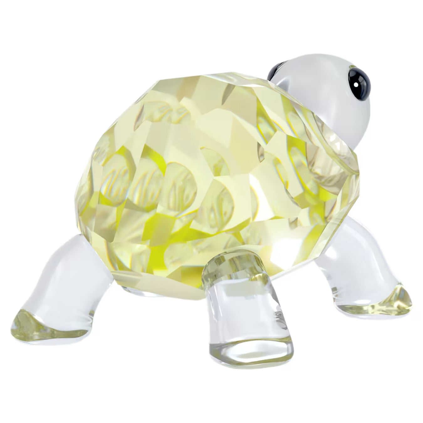 Idyllia Baby Tortoise 5721550