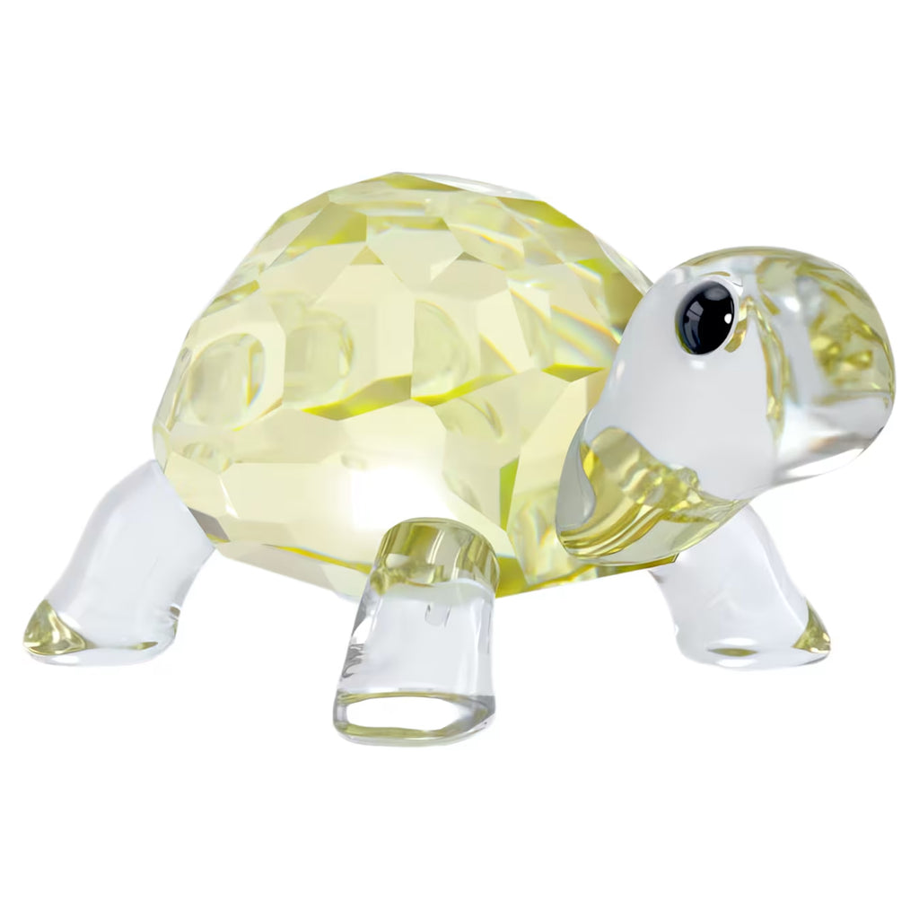 Idyllia Baby Tortoise 5721550