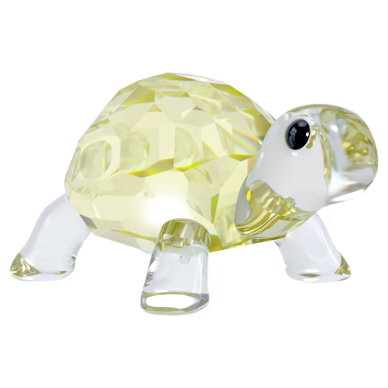 Idyllia Baby Tortoise 5721550