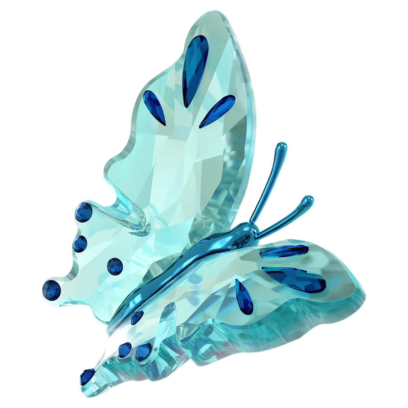 Idyllia Butterfly Turquoise 5721539