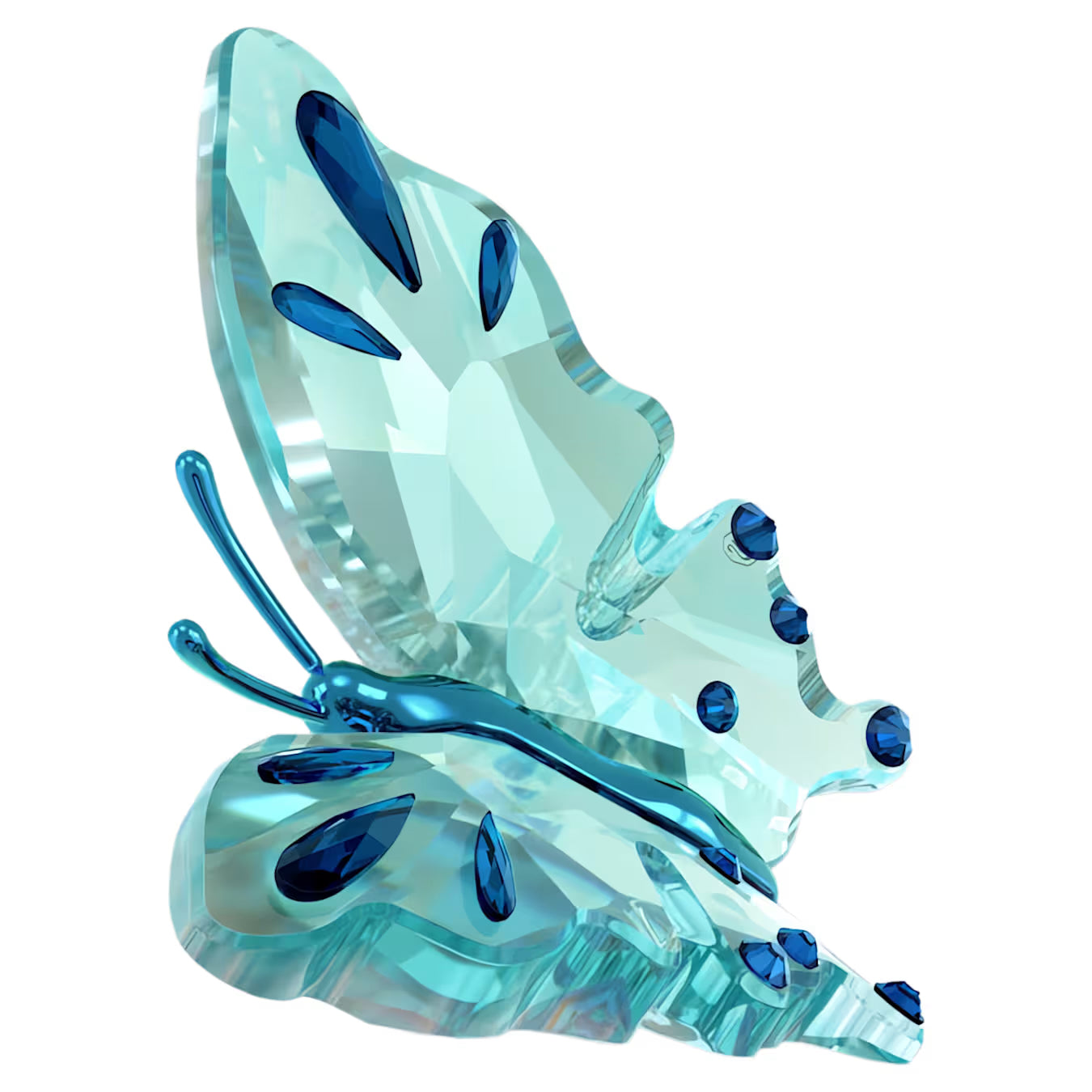 Idyllia Butterfly Turquoise 5721539