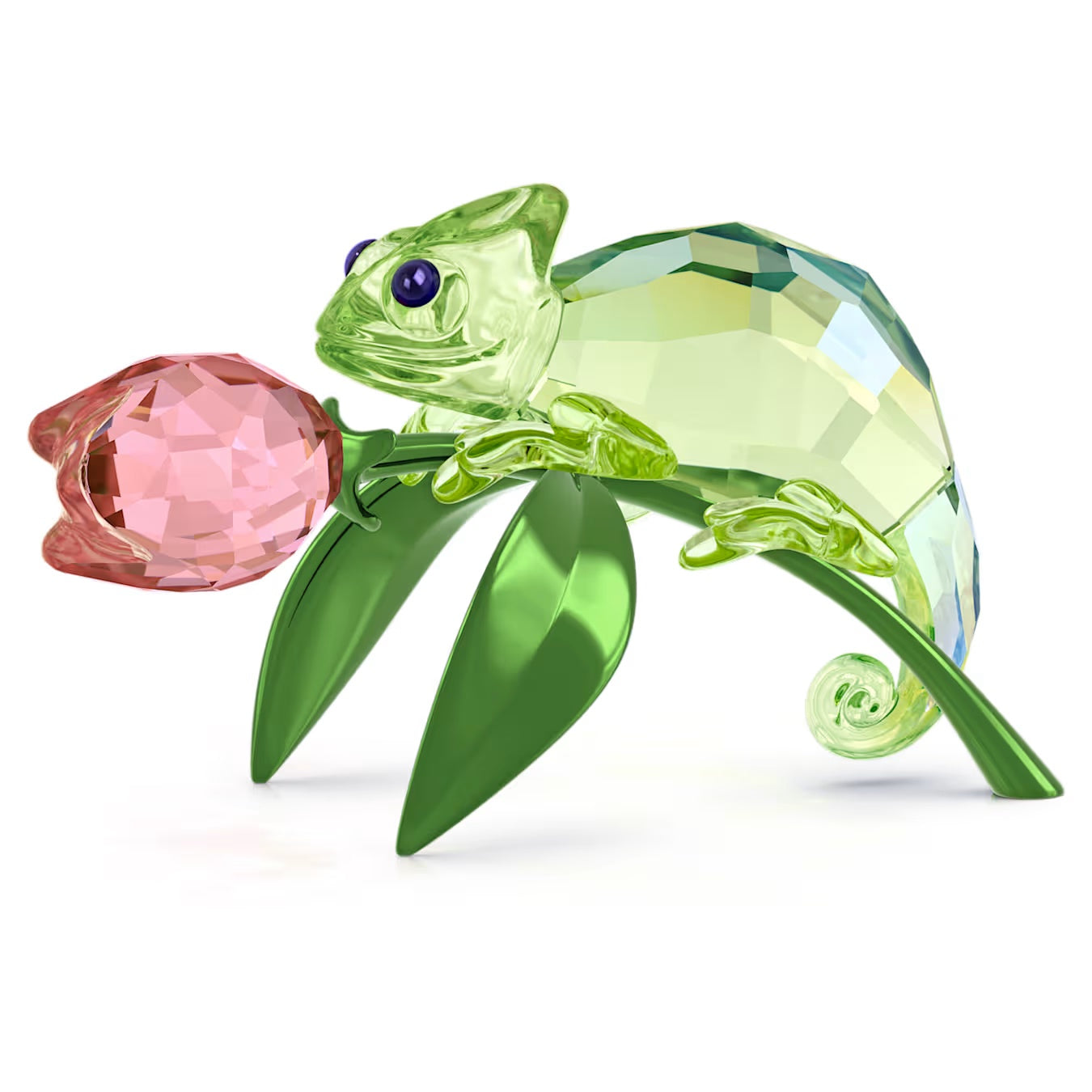 Idyllia Chameleon and Tulip 5719811